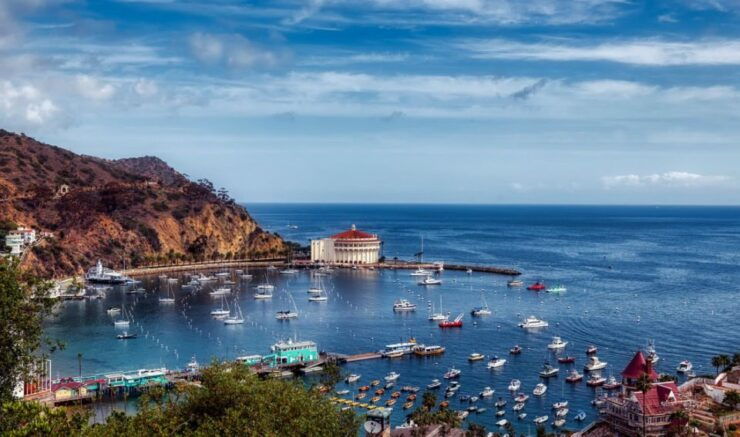 Santa Catalina Island: Nautilus Semi-Submarine Cruise - Booking Information for the Cruise