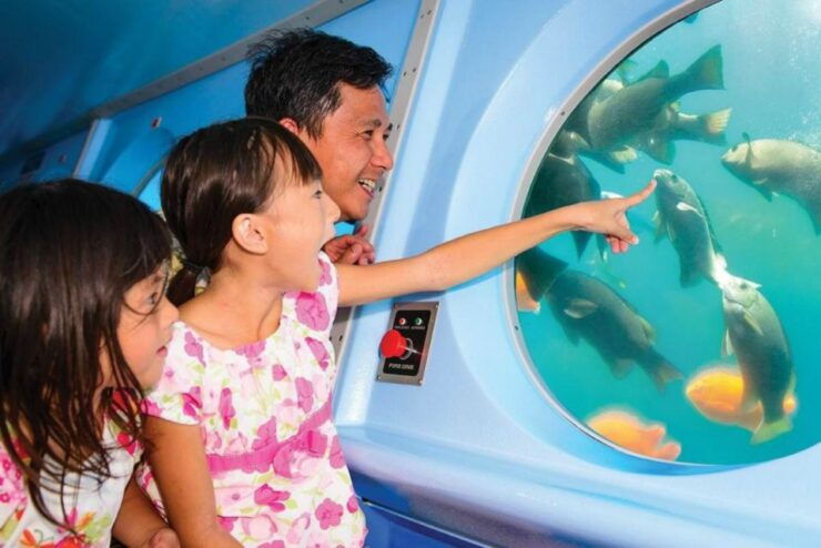 Santa Catalina Island: Nautilus Semi-Submarine Cruise - What to Expect on the Semi-Submarine