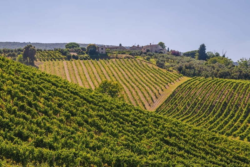 "Santa Chiara" wine tasting - Palagetto winery - The Wines and Tasting Pairings