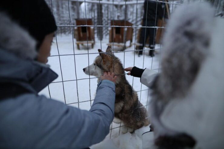Santa Claus Village and Husky Guided Tour - Tour Duration and Guide Availability