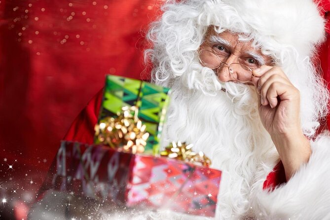 Santa Claus Village Guided Tour & Arctic Animals Adventure - Small-Group Combo Tour Highlights