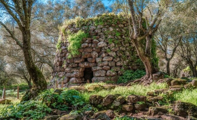 Santa Cristina'S Well and Nuraghe Losa Tour - Experience Details