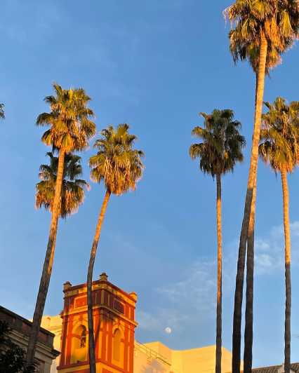 Santa Cruz : an Intercultural Tour Where Sharing Is the Key - Focus on Local Life