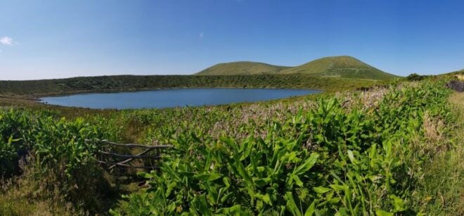 Santa Cruz Das Flores: Guided Tour W/ Ferreiro Waterfalls - Additional Reviews