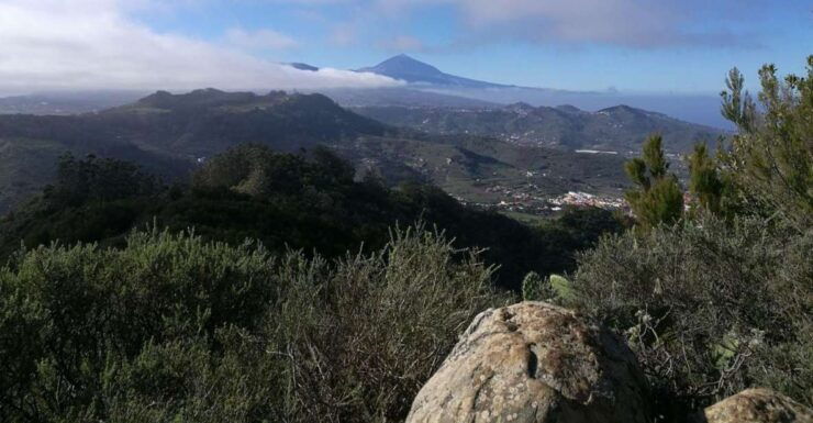 Santa Cruz De Tenerife: 2-Hour Hiking Tour in Anaga Forest - Tour Duration and Cancellation Policy