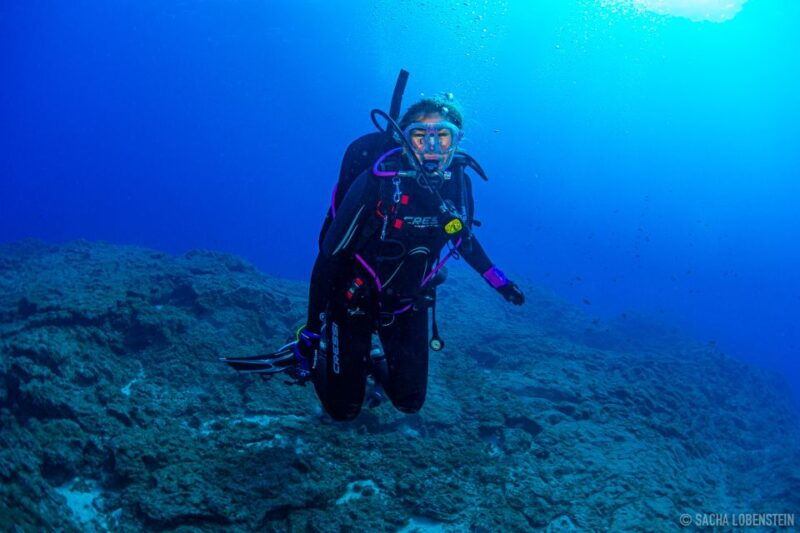 Santa Cruz De Tenerife: Advanced Introductory Course - Booking Information
