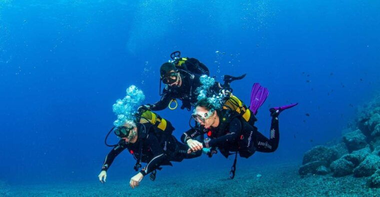 Santa Cruz De Tenerife: Advanced Introductory Course - Experience Details