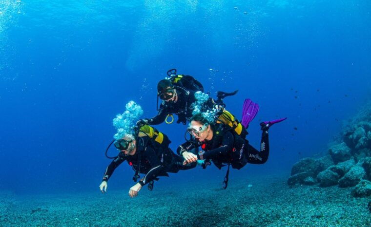 Santa Cruz De Tenerife: Advanced Introductory Course - Common Questions