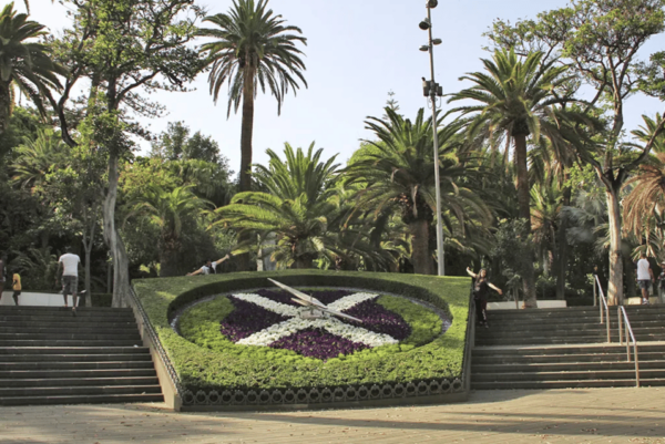 Santa Cruz De Tenerife at Your Leisure - Customer Feedback