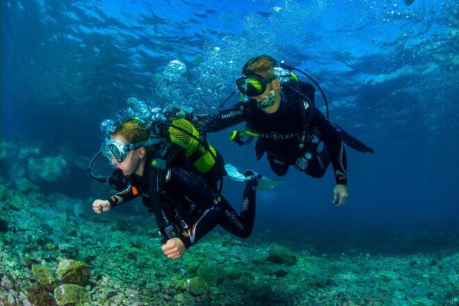 Santa Cruz De Tenerife: Beginners Diving & Introduction - Activity Duration