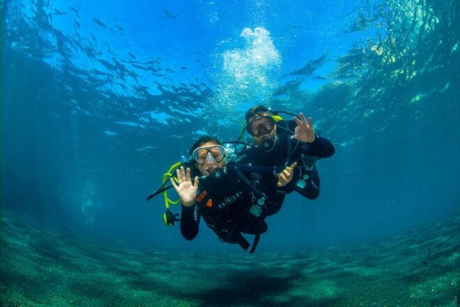 Santa Cruz De Tenerife: Beginners Diving & Introduction - Booking Guidelines
