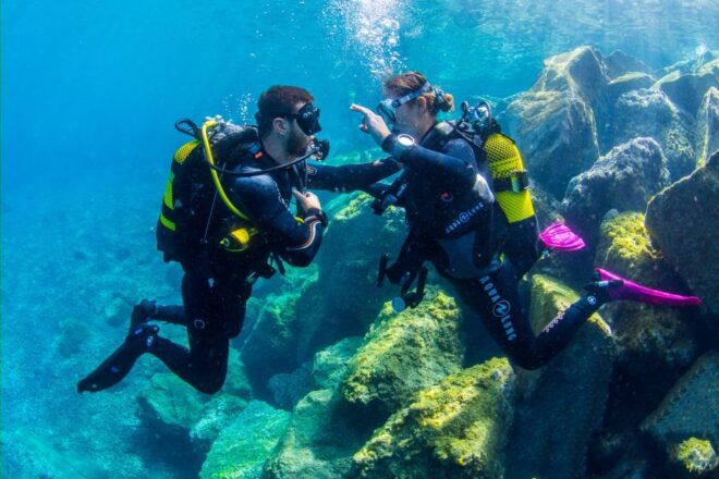 Santa Cruz De Tenerife: Beginners Diving & Introduction - Frequently Asked Questions