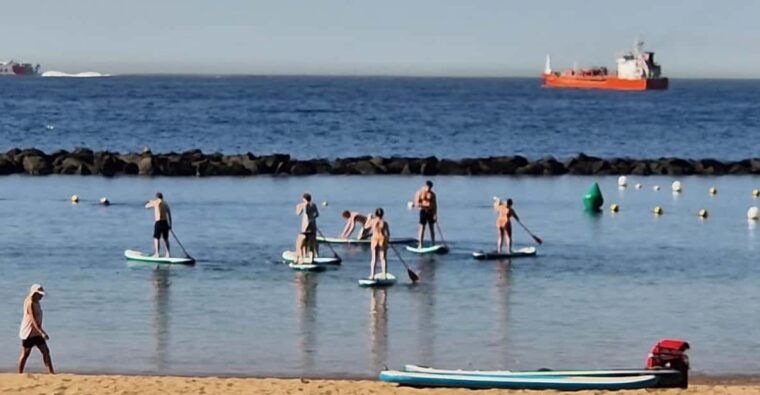 Santa Cruz De Tenerife: Las Teresitas Stand up Paddle Course - Language Options