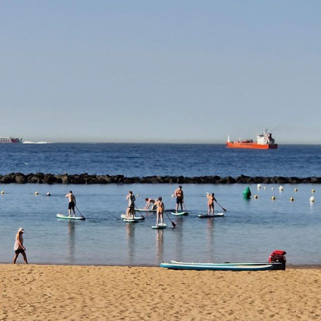 Santa Cruz De Tenerife: Las Teresitas Stand up Paddle Course - Course Overview