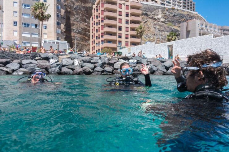 Santa Cruz De Tenerife: PADI Introductory Dive - Experience Details