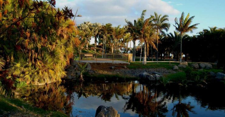 Santa Cruz De Tenerife: Palmetum Entry Ticket - Ticket Details