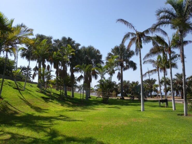 Santa Cruz De Tenerife: Palmetum Entry Ticket - Experience Highlights