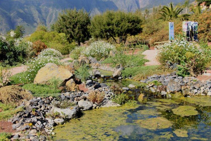 Santa Cruz De Tenerife: Pyramids of Güímar Ethnographic Park - Experience