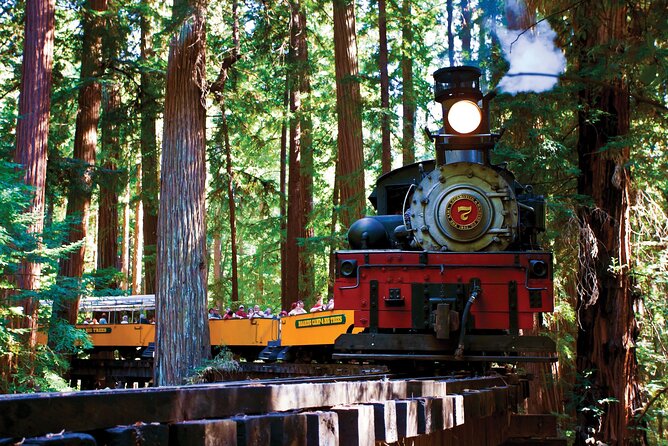 Santa Cruz Full-Day Tour With Redwood Forest Steam Train - San Francisco - Tour Overview