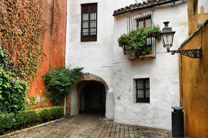 Santa Cruz Neighbourhood Guided Walking Tour in Seville - Overview of the Tour
