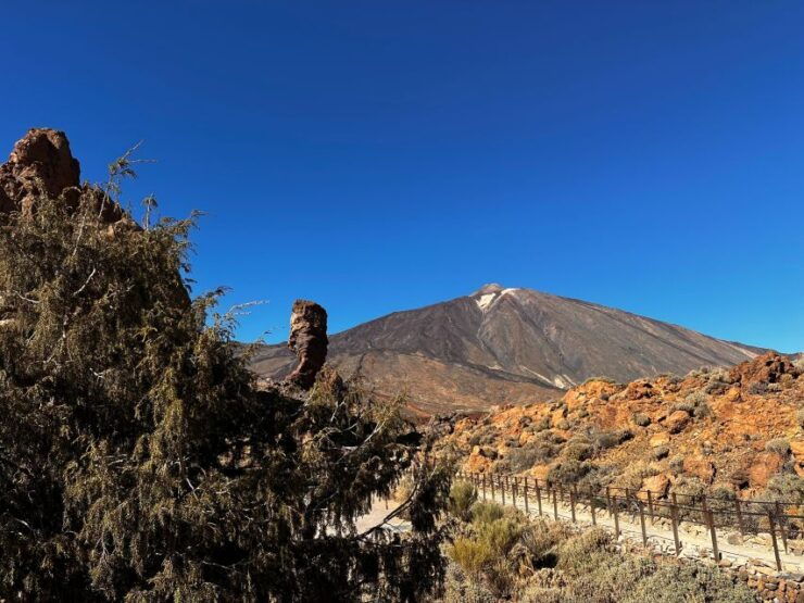 Santa Cruz: North Tenerife Private Guided Tour & Lunch - Experience Highlights & Sightseeing