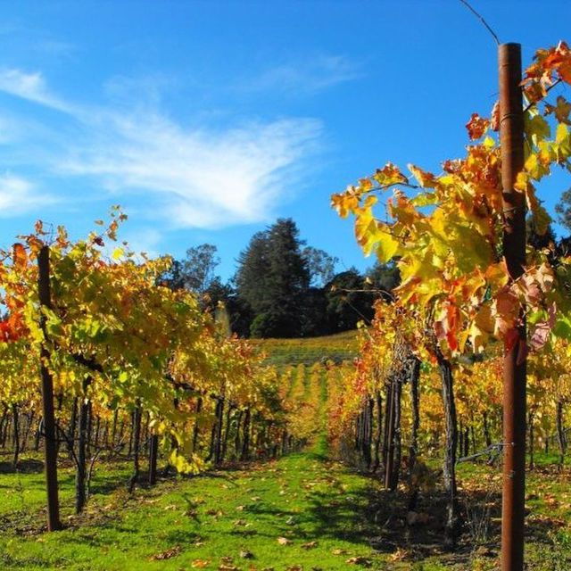 Santa Cruz: Private Custom Wine Tour With Hotel Pickup - Activity Details