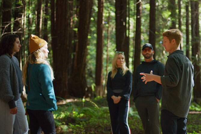Santa Cruz Redwoods Forest Therapy - Experience
