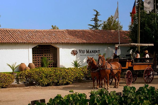 Santa Cruz & Viu Manent Private Day Tour From Santiago - Vineyard Visits