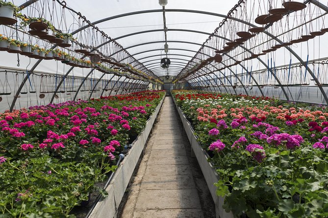 Santa Elena Trip: Silleteros and Flower Farm Cultural Tour - Inclusions