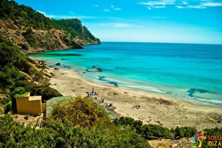 Santa Eulalia: Jet Ski Tour With Optional Dolphin Searching - Booking Details