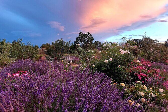 Santa Fe Botanical Garden General Admission Ticket - A Deep Dive into the Experience