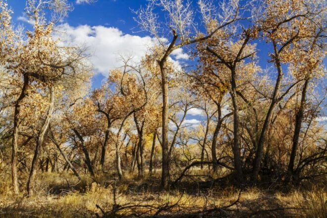 Santa Fe E-bike Adventure Half-Day Tour - Booking Information