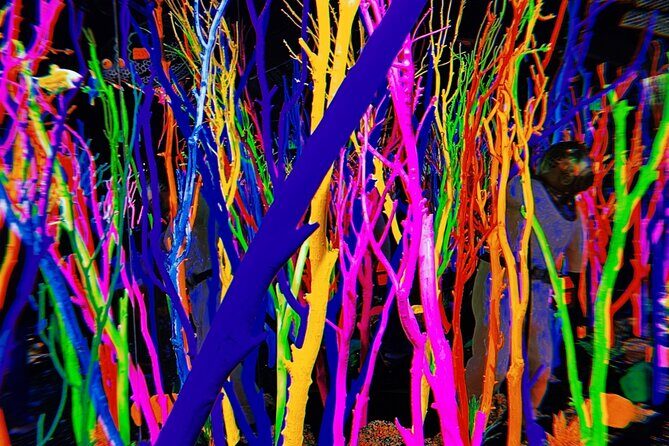 Santa Fe Historic Self-Guided Audio Walking Tour - Who Would Enjoy This Tour?