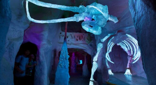 Santa Fe: Meow Wolfs House of Eternal Return Ticket - Accessibility and Group Size