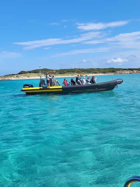 Santa-Giulia: Half-day trip, Lavezzi Islands and Bonifacio cliffs - Practical Details and What to Expect