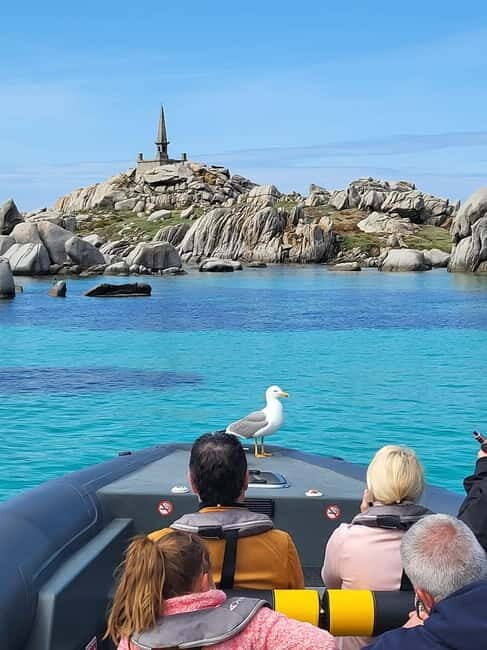 Santa-Giulia: Half-day trip, Lavezzi Islands and Bonifacio cliffs - Who Is This Tour Best For?
