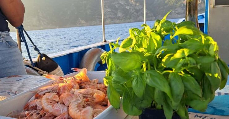 Santa Margherita: Day Tour on a Fishing Boat With Lunch - Experience the Ligurian Coast