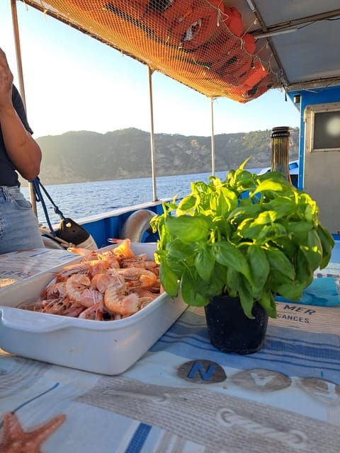 Santa Margherita: Day Tour on a Fishing Boat With Lunch - Fresh Seafood Dining Onboard