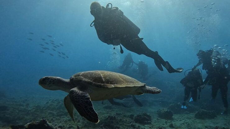 Santa Maria: Advance Open Water Diver - PADI or SSI Course - Course Details