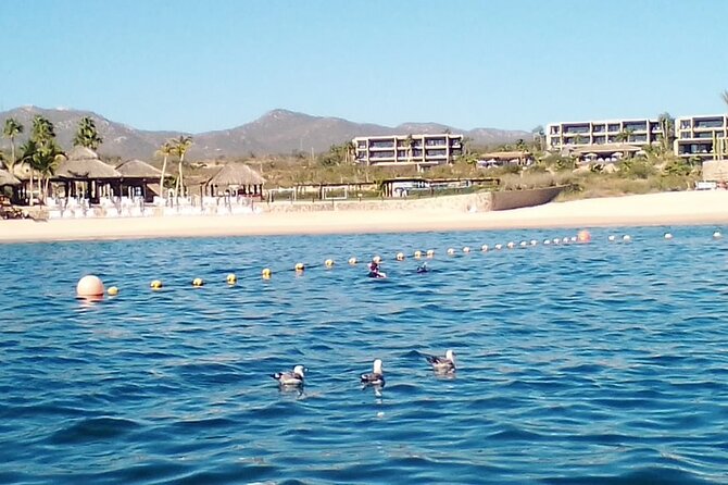 Santa Maria and Chileno Bay Snorkel Adventure Los Cabos - Traveler Photos and Reviews