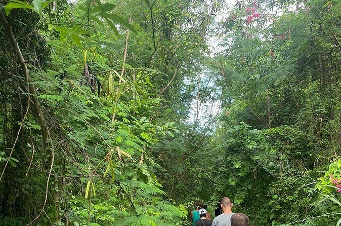 Santa Maria Beach Hike - Who Will Love This Experience?