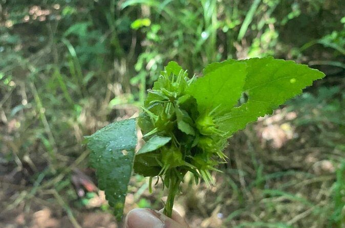 Santa Maria Beach Hike - Final thoughts