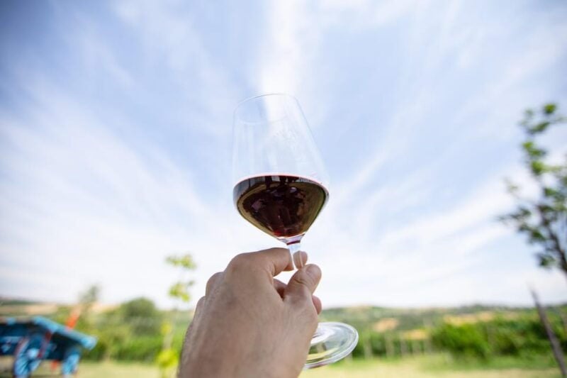 Santa Maria Della Versa: Grape Harvest & Wine Tasting Tour - Good To Know