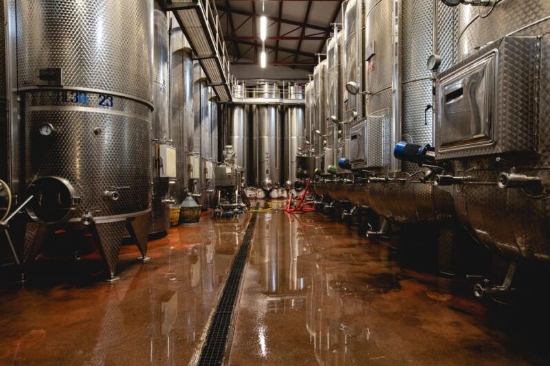 Santa Maria Della Versa: Grape Harvest & Wine Tasting Tour - Highlights of the Grape Harvest