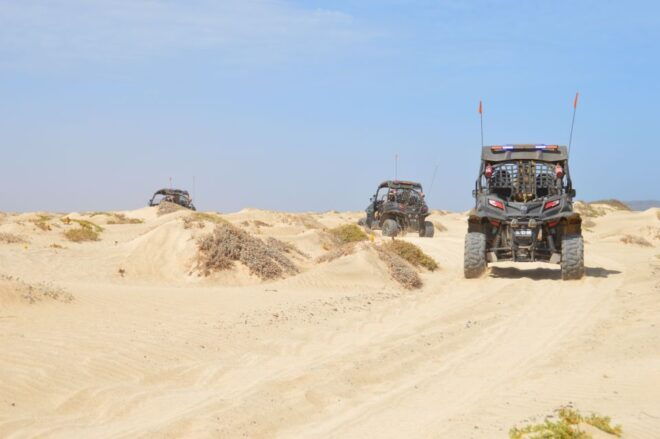 Santa Maria: Desert Adventure on a 500cc or 1000cc Buggy - Customer Testimonials