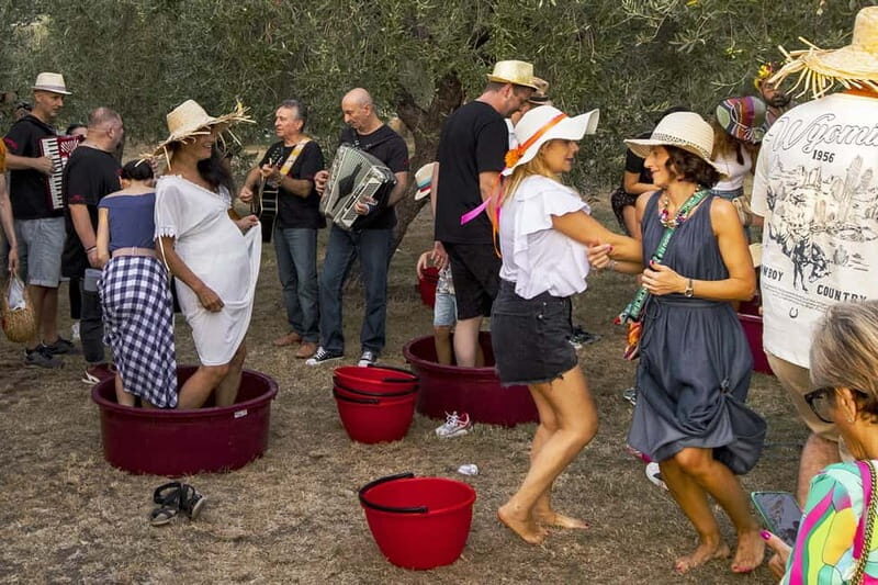 Santa Maria Imbaro: Grape Harvest with Pressing + Picnic among olive trees and vineyards - An in-depth look at this unique Abruzzo experience