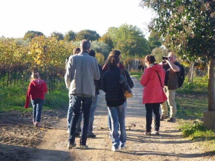 Santa Maria Imbaro: The Vinarte Wine Tour - Discovering Passion and Stories