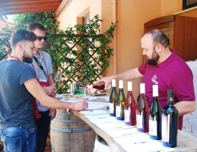 Santa Maria Imbaro: The Vinarte Wine Tour - Savoring Genuine Local Products