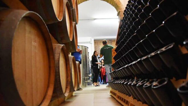 Santa Maria Imbaro: The Vinarte Wine Tour - Accessibility and Private Groups