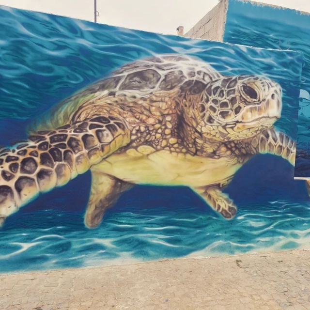 Santa Maria: Local Markets and Street Art Walking Tour - Tour Details